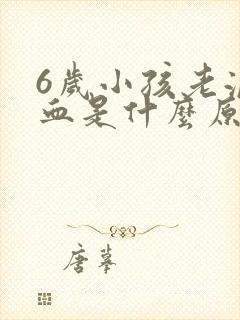 6岁小孩老流鼻血是什么原因
