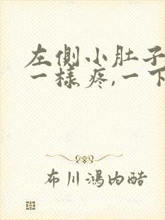 左侧小肚子针扎一样疼,一下一下的
