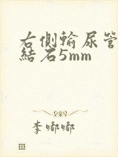 右侧输尿管下段结石5mm封面