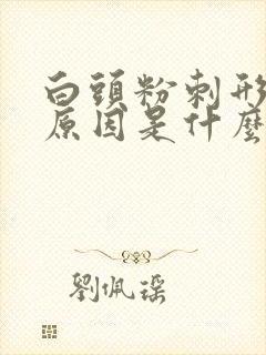 白头粉刺形成的原因是什么