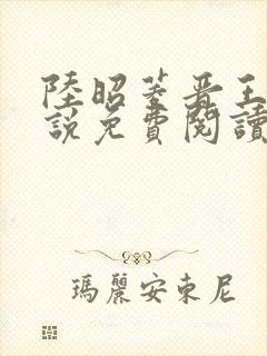 陆昭菱晋王的小说免费阅读