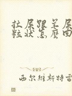 拉屎跟羊屎那种粒状怎么回事