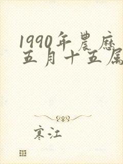 1990年农历五月十五属马是什么命封面