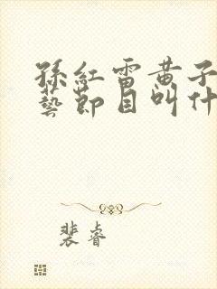 孙红雷黄子韬综艺节目叫什么