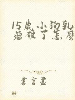 15岁小狗乳腺瘤破了怎么办