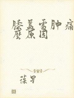 膝盖处肿痛是什么原因