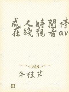 成人时间停止器在线观看av
