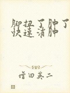 脚扭了肿了怎么快速消肿