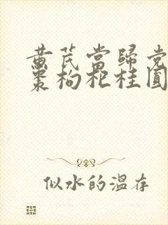 黄芪当归党参红枣枸杞桂圆泡水喝的功效封面