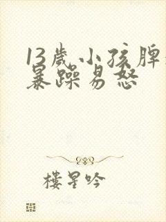 13岁小孩脾气暴躁易怒