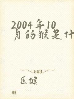 2004年10月的猴是什么命封面