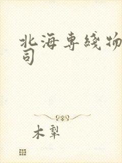 北海专线物流公司