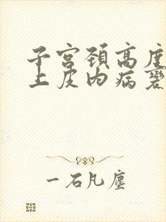 子宫颈高度鳞状上皮内病变