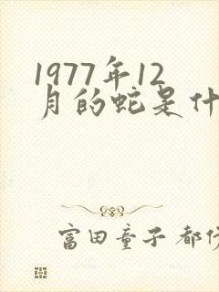 1977年12月的蛇是什么命