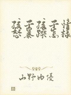 孩子孩子情绪易怒暴躁怎样开导封面