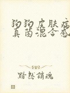 狗狗皮肤病细菌真菌混合感染怎么办