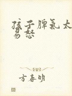 孩子脾气太暴躁易怒封面
