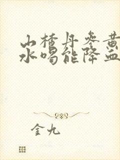 山楂丹参黄芪泡水喝能降血脂吗