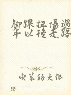 脚踝扭伤过,几年以后走路多了就肿还疼