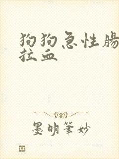 狗狗急性肠胃炎拉血