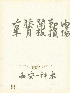 右膝关节内外侧半月板损伤2度