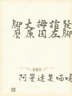 脚大拇指发麻什么原因左脚封面