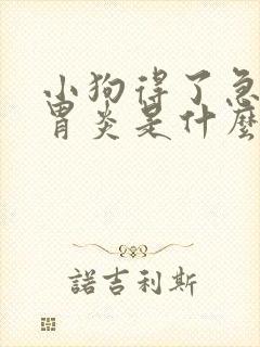 小狗得了急性肠胃炎是什么症状