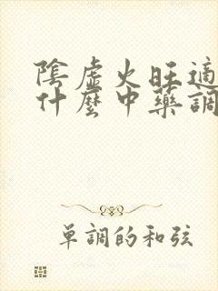 阴虚火旺适合吃什么中药调理