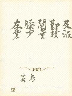 左膝关节及髌上囊少量积液