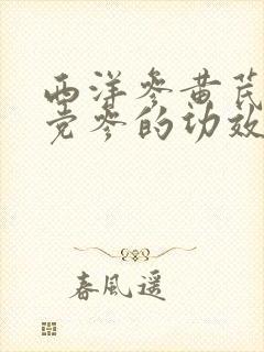 西洋参黄芪麦冬党参的功效