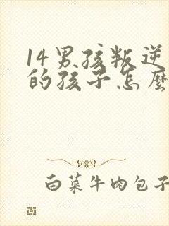 14男孩叛逆期的孩子怎么去引导封面