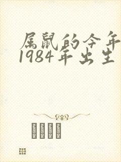 属鼠的今年多大1984年出生