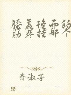 膝盖后面的腿窝筋疼挂哪个科封面