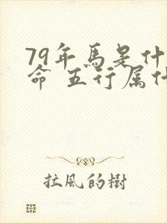 79年马是什么命 五行属什么