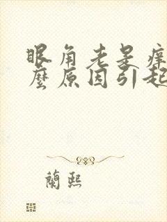 眼角老是痒是什么原因引起的