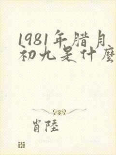 1981年腊月初九是什么命