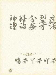 神精分裂症的心理治疗方法封面