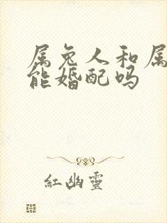 属兔人和属龙人能婚配吗封面