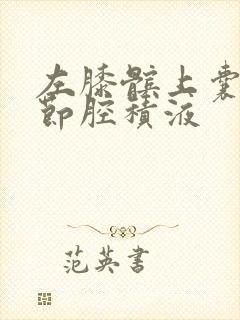 左膝髌上囊及关节腔积液