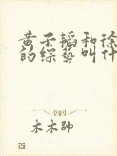 黄子韬和徐艺洋的综艺叫什么