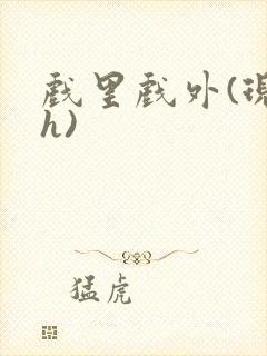 戏里戏外(现场h)