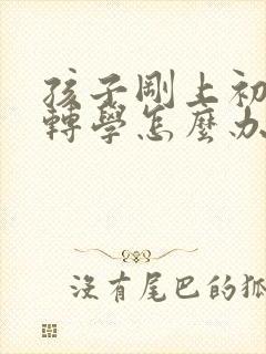 孩子刚上初一想转学怎么办封面
