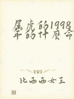 属虎的1998年的什么命