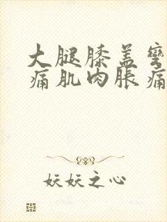 大腿膝盖弯曲疼痛肌肉胀痛