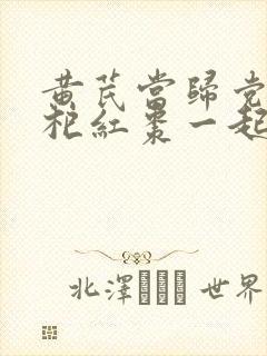黄芪当归党参枸杞红枣一起喝有什么功效