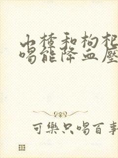 山楂和枸杞泡水喝能降血压吗封面
