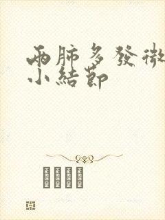 两肺多发微小及小结节封面