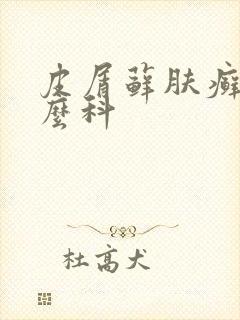 皮屑藓肤癣看什么科