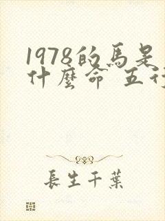 1978的马是什么命 五行属什么