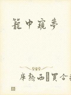 笼中窥梦封面
